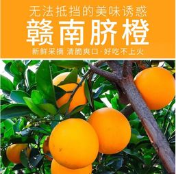 甜入心扉的贛南珍品——5斤江西贛州薄皮臍橙，品味正宗鮮甜的舌尖盛宴