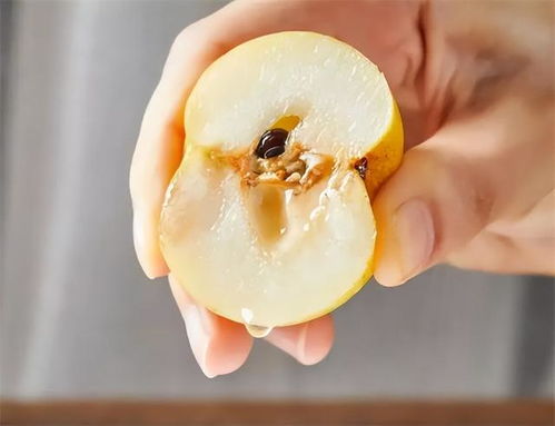 北國醉果，南國無覓處 品嘗后真的會醉嗎？