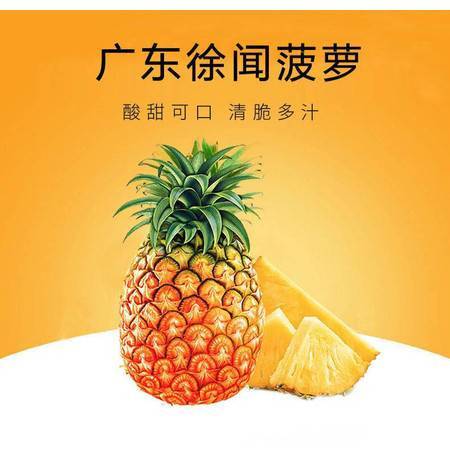 徐聞鳳梨 嶺南佳果，香甜禮贈——探秘廣東特產新鮮大菠蘿